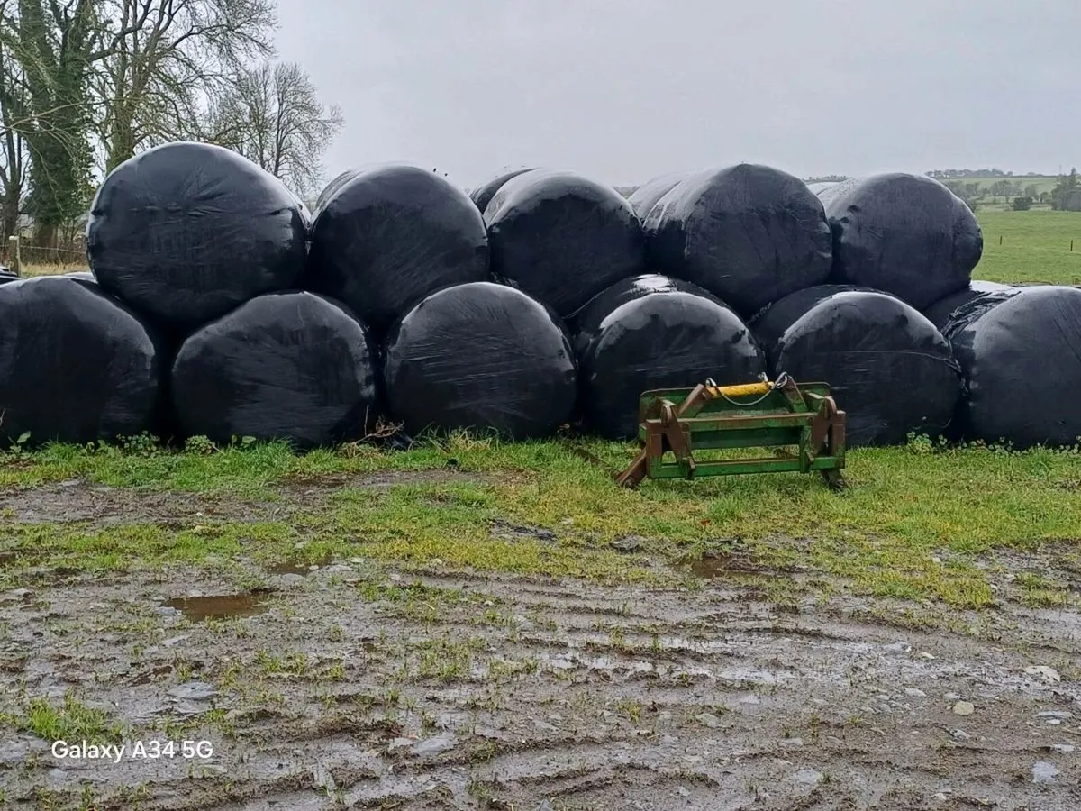 Silage bales