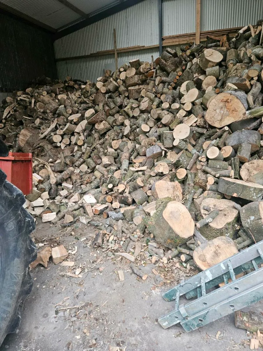 Firewood - Image 1