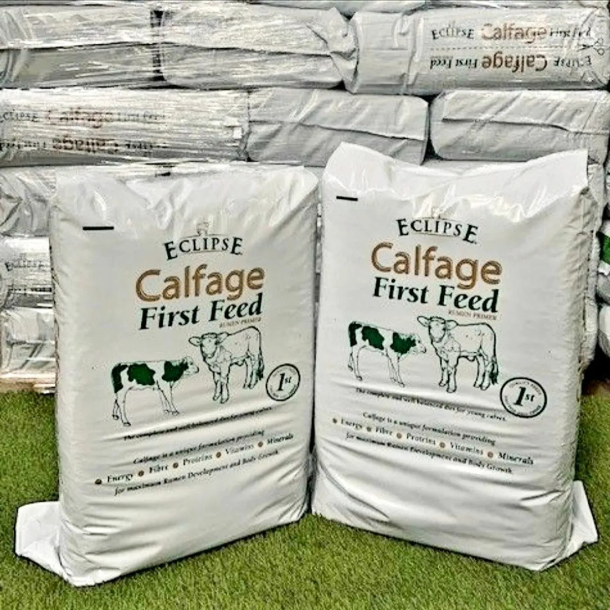 Calfage and Starter ration - Image 1