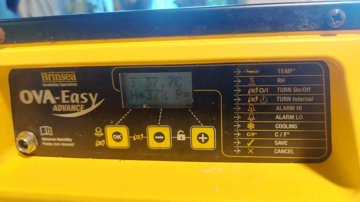 Brinsea Incubator - Image 4