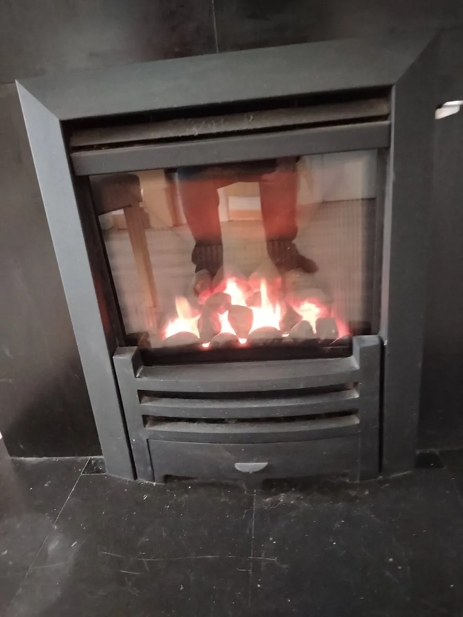 Gas fire insert - Image 2