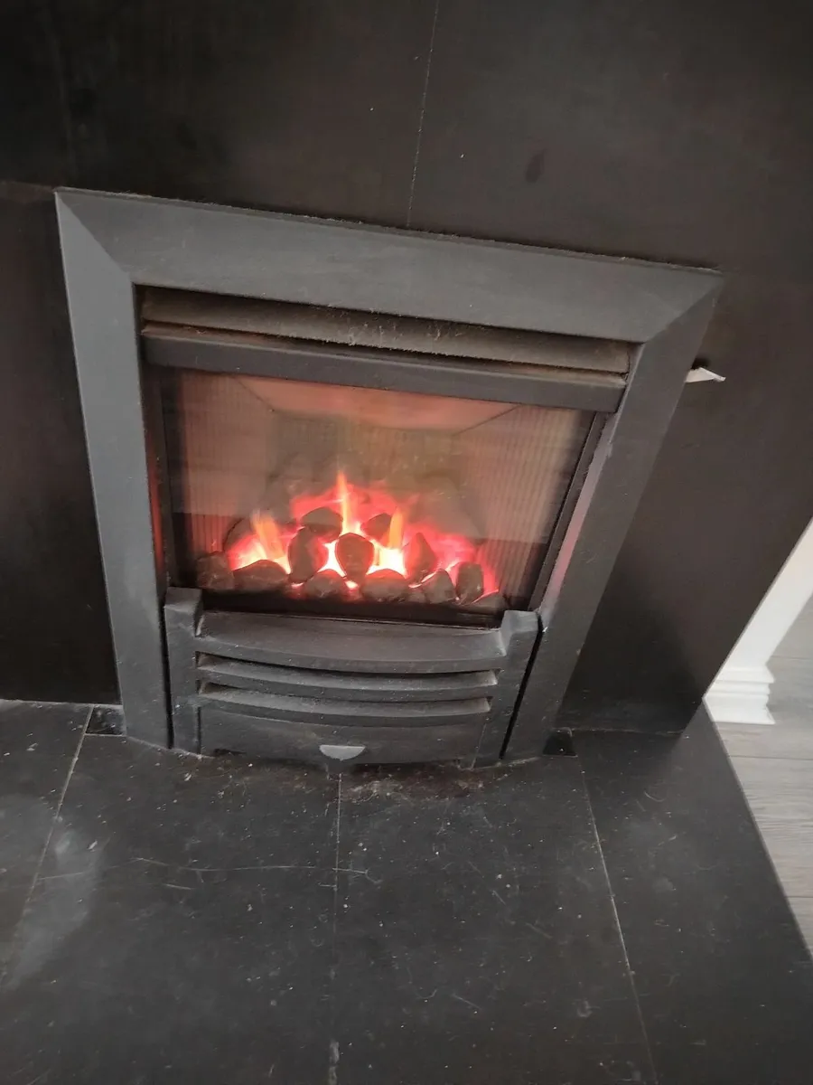 Gas fire insert - Image 3