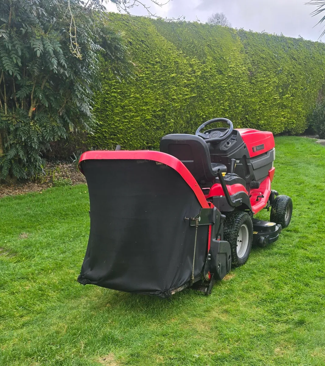 Westwood T60 Kawasaki - Image 2