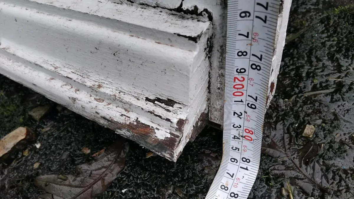 Teak door window - Image 3