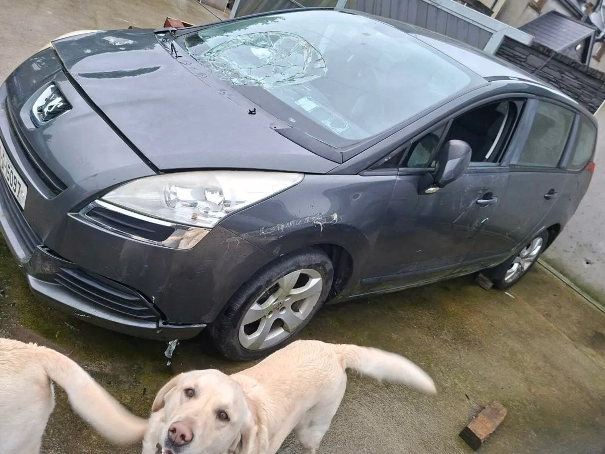 Peugeot 5008/308 mk5 golf - Image 1
