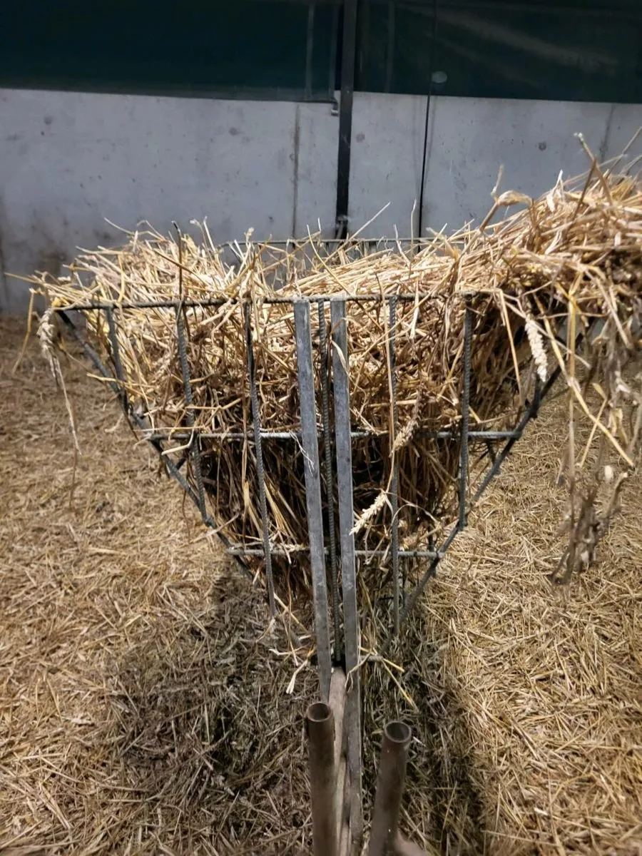 Sheep equipment - Image 2