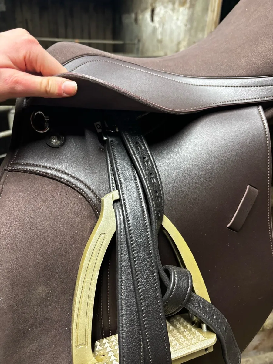 Saddle - Image 4
