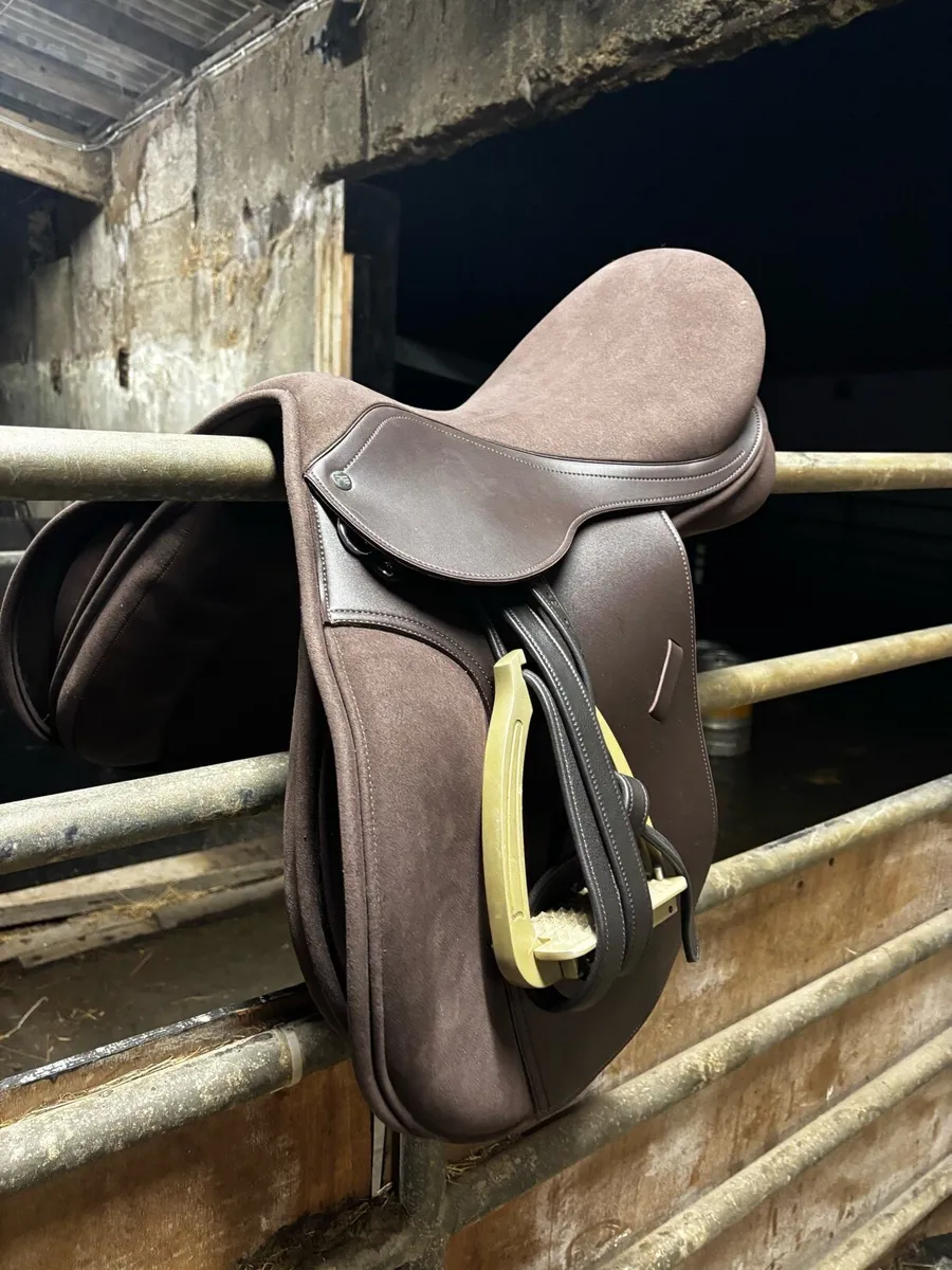 Saddle - Image 2