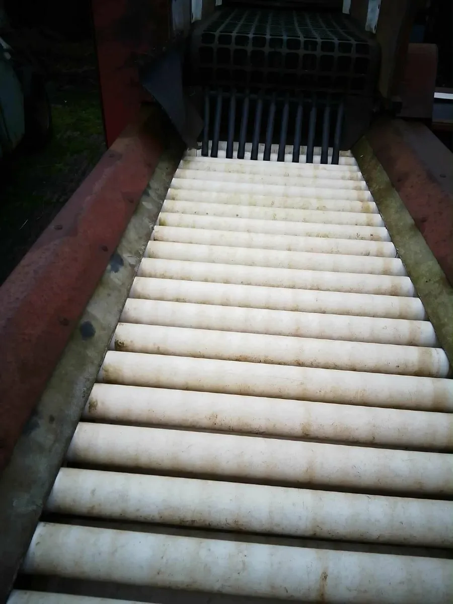 Potato Graders - Image 4