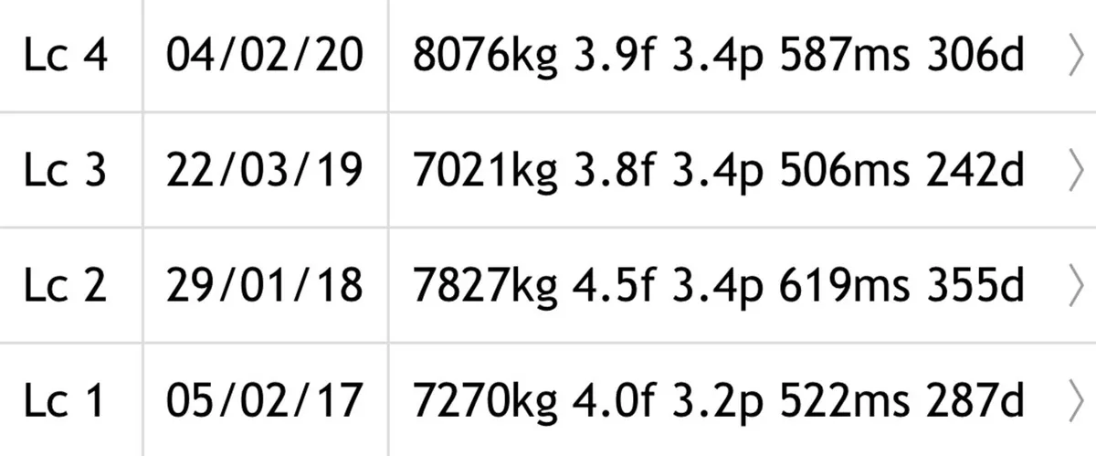 Pure Fleckvieh Bull - Image 4