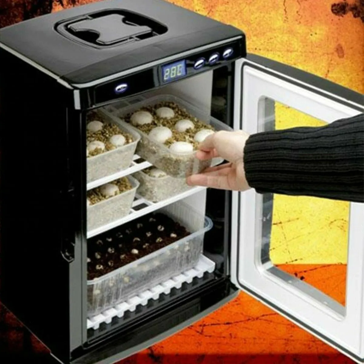 Reptile Egg Incubator 25L with Digital Temp - Image 4