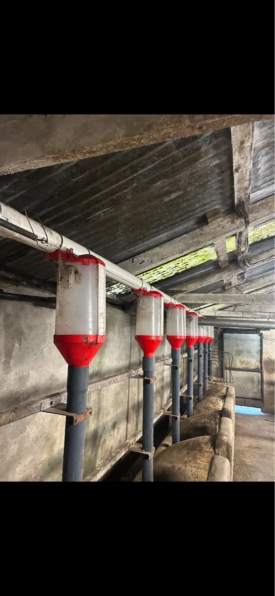 Selling Bin and 14 feeders good Condition - Image 2