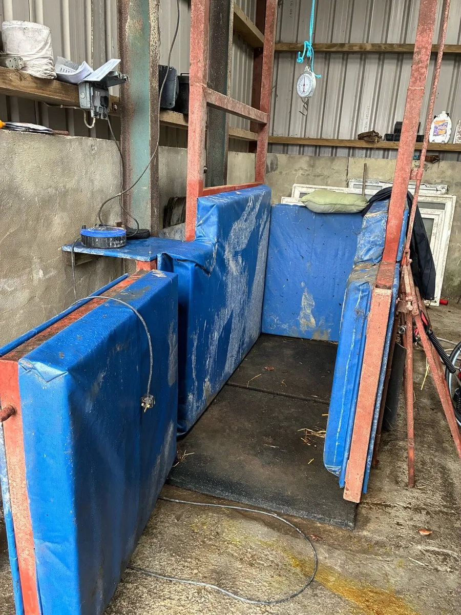 Stocks for horses - Image 1