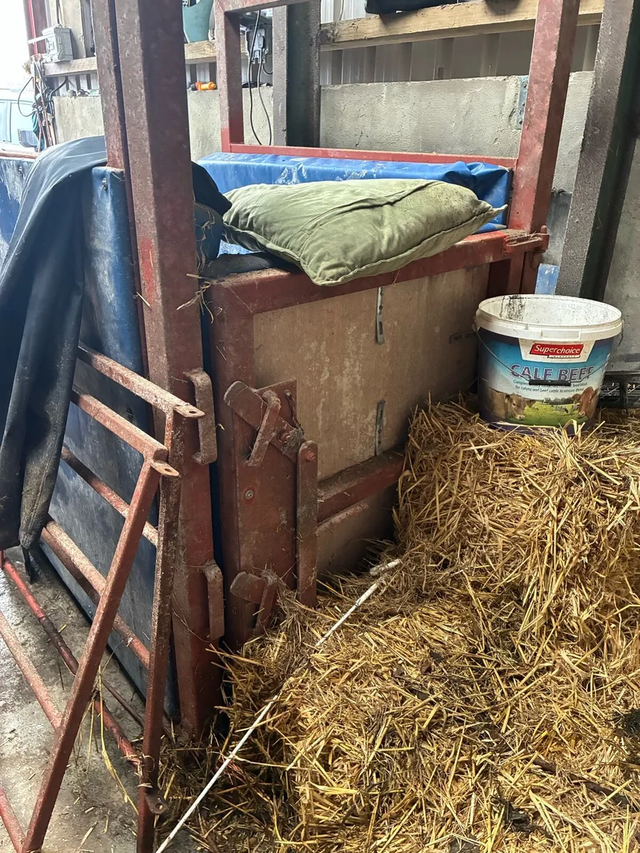 Stocks for horses - Image 2