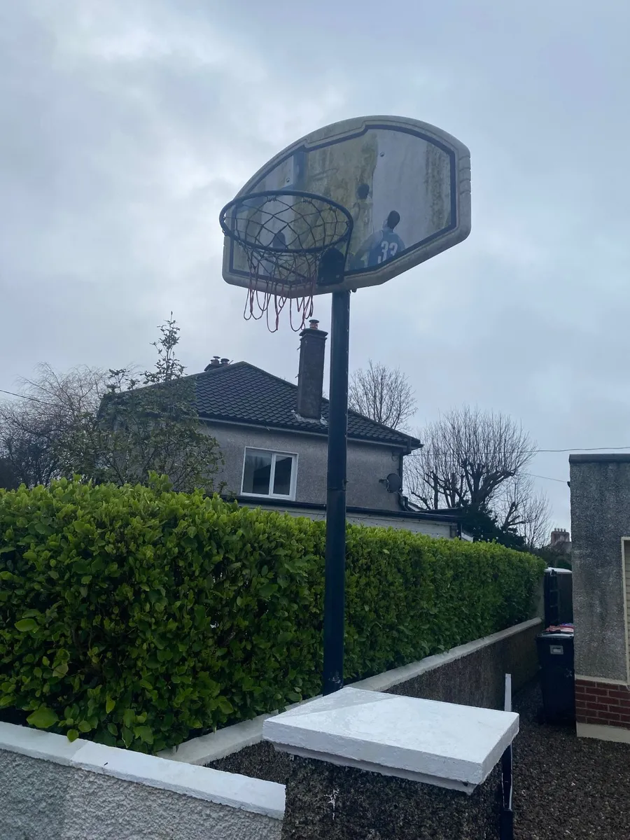 Basketball net