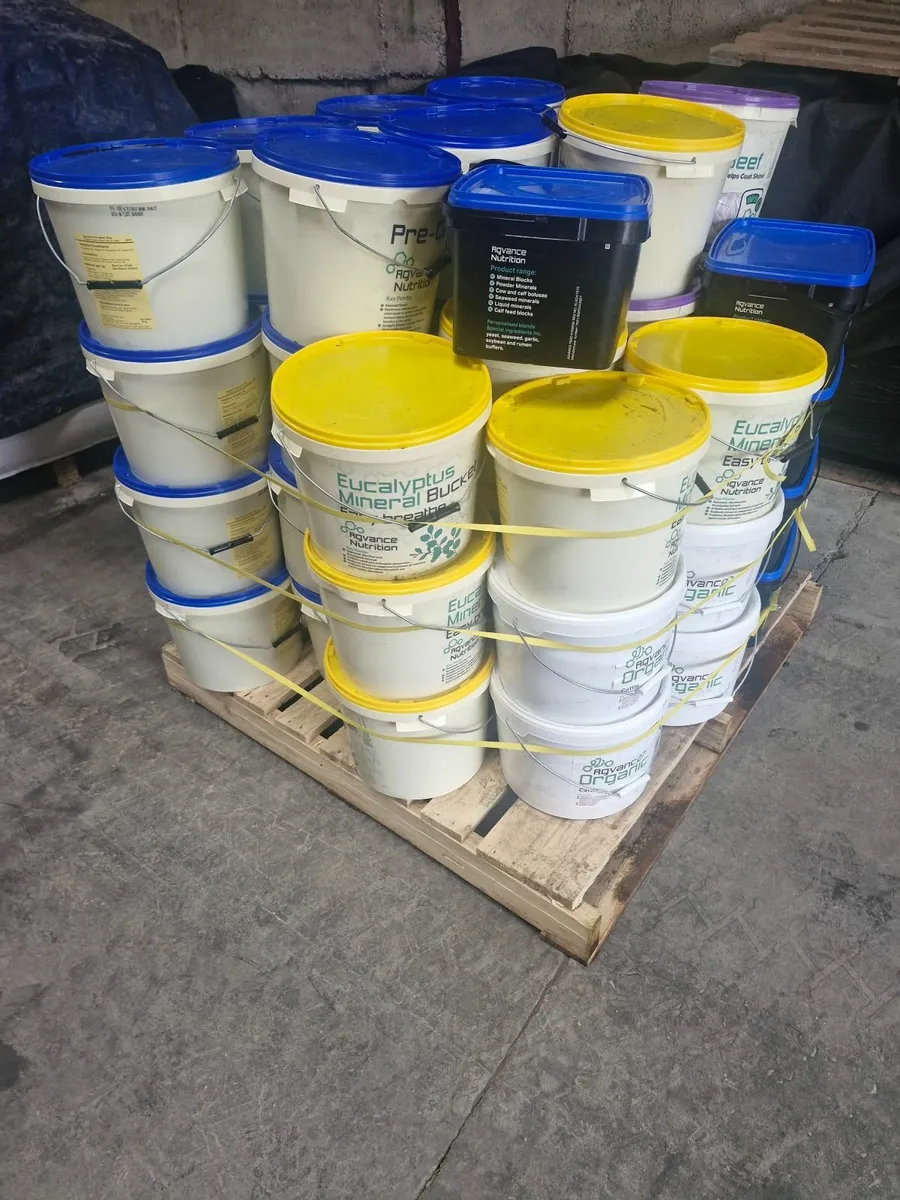 Mineral Buckets & Himalayan Rock Salt - Image 2