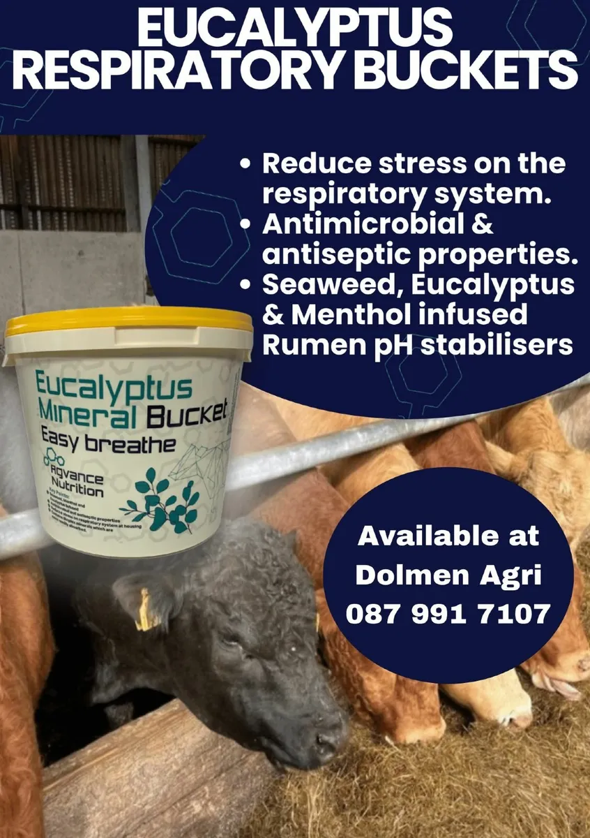 Mineral Buckets & Himalayan Rock Salt - Image 4