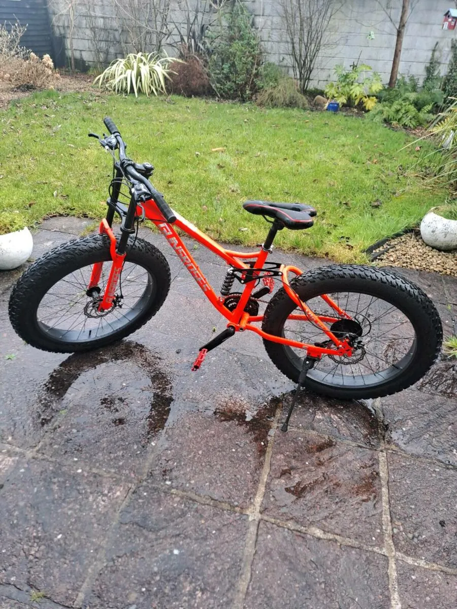 Fat bike - Image 1