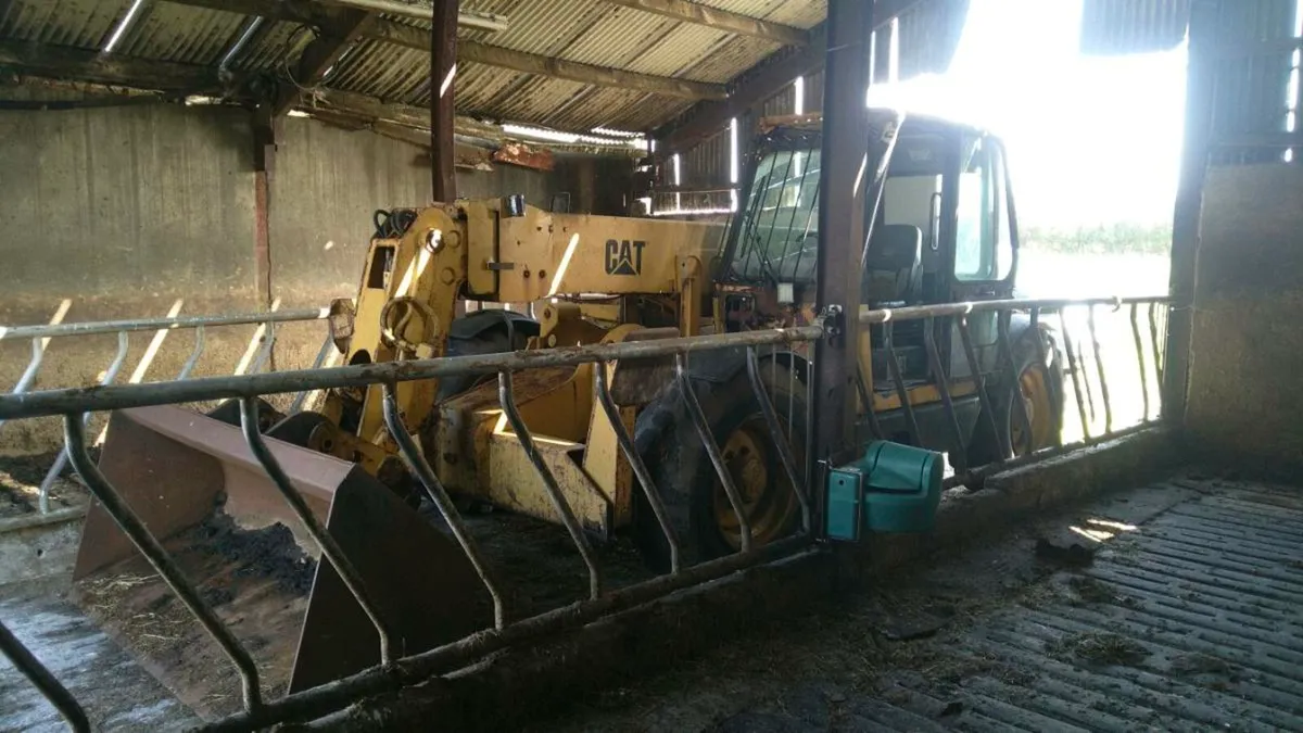 Telehandler - Image 1