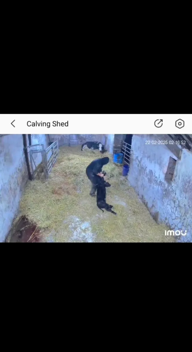 Farm Worker Seeking Role With Accommodation - Image 4