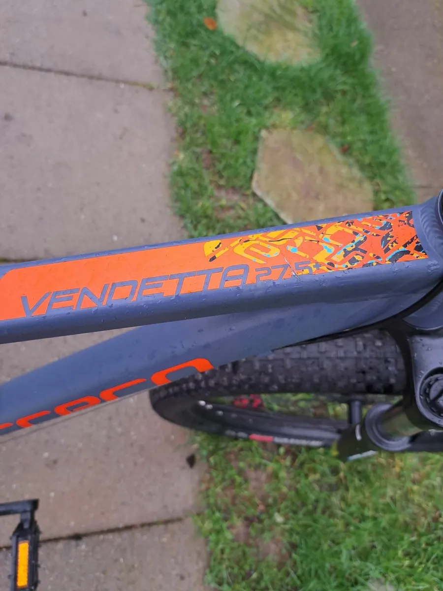 Mens  mountain bike - Image 1