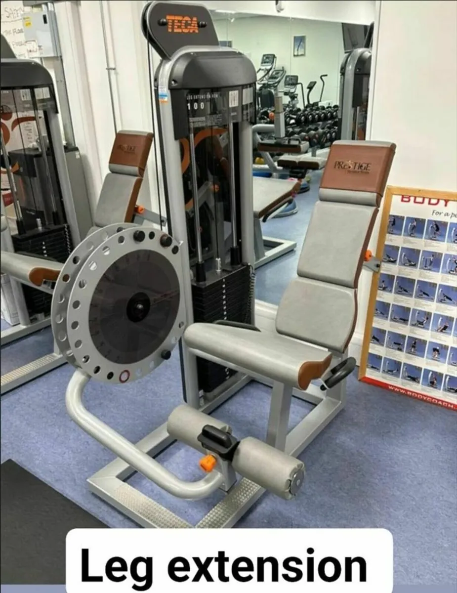 5 Piece Italian Strength Machines – TECA STRENGTH - Image 3