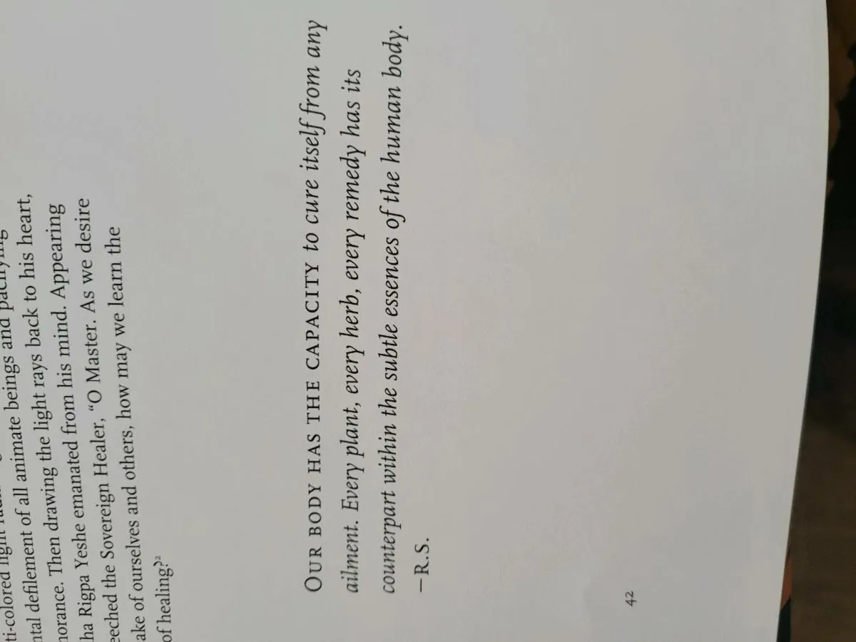 Book, Celestial Gallery - Image 4