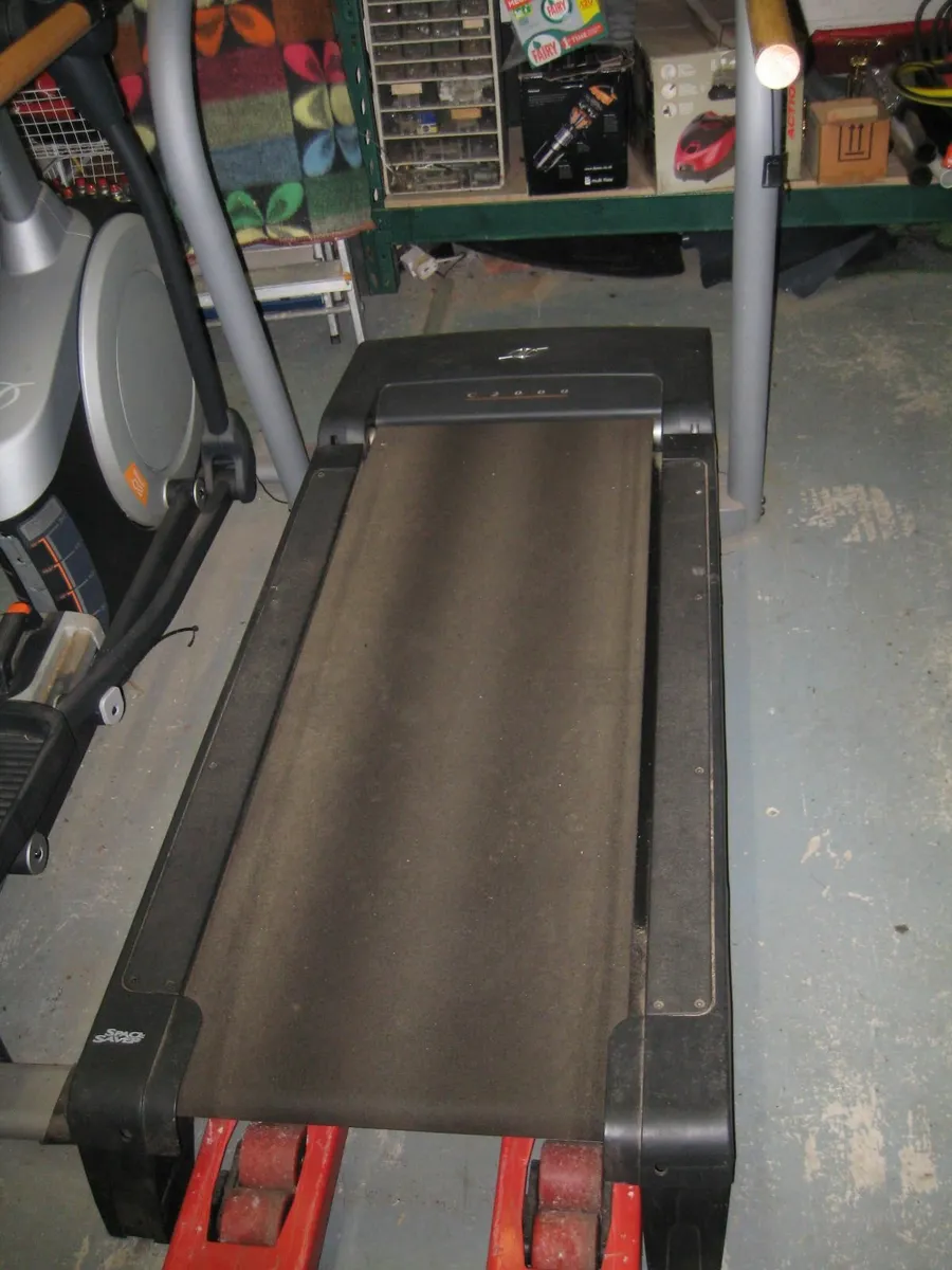 Nordic Treadmill - Image 3