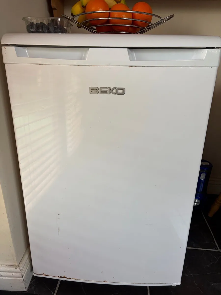 Fridge and freezer - Image 2