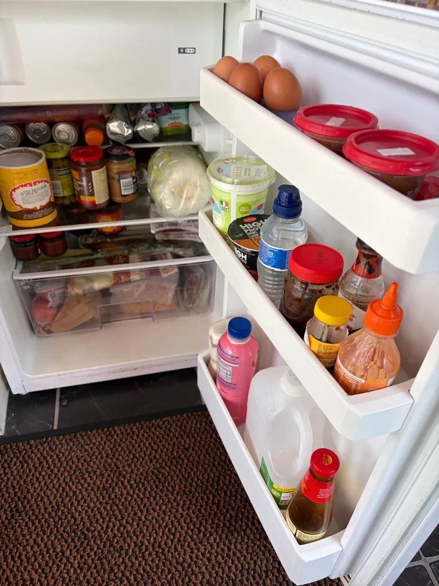 Fridge and freezer - Image 1