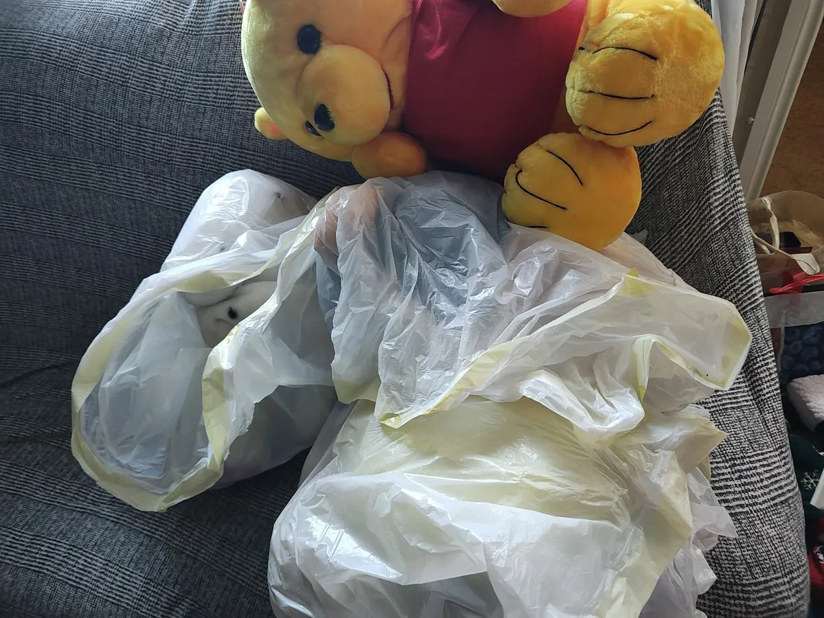 Mixed: plushies, pencil colours, cases and sticker - Image 1