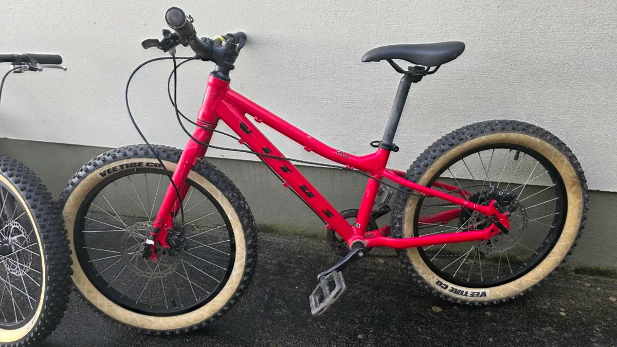 Kids Mountain Plus Bike - Image 2