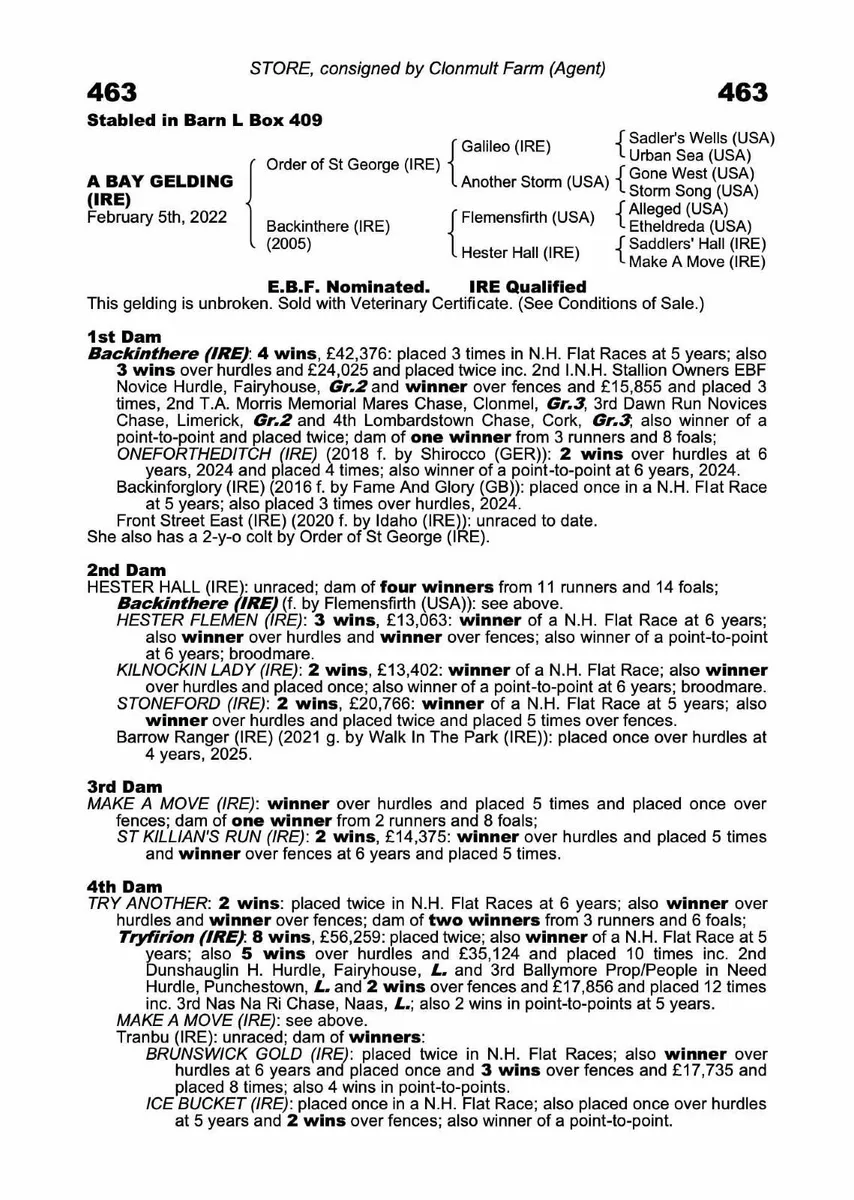 Thoroughbred Broodmare - Image 2