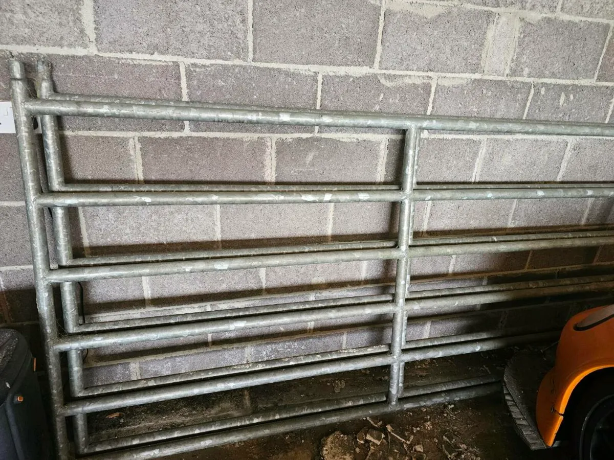 Farm gates - Image 3