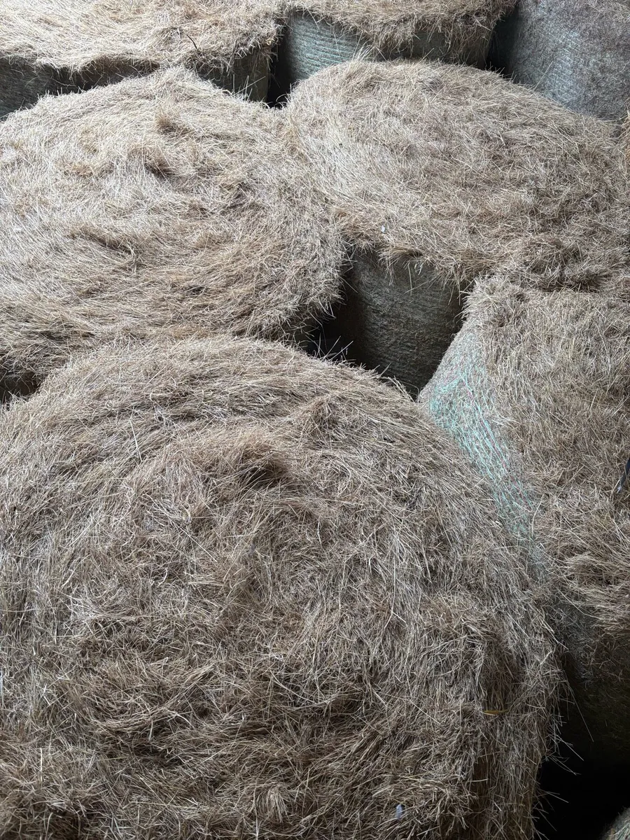 Hay - Image 2