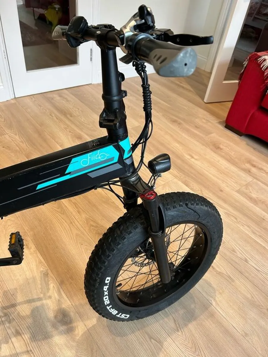 Fiido M1 Pro - Image 1