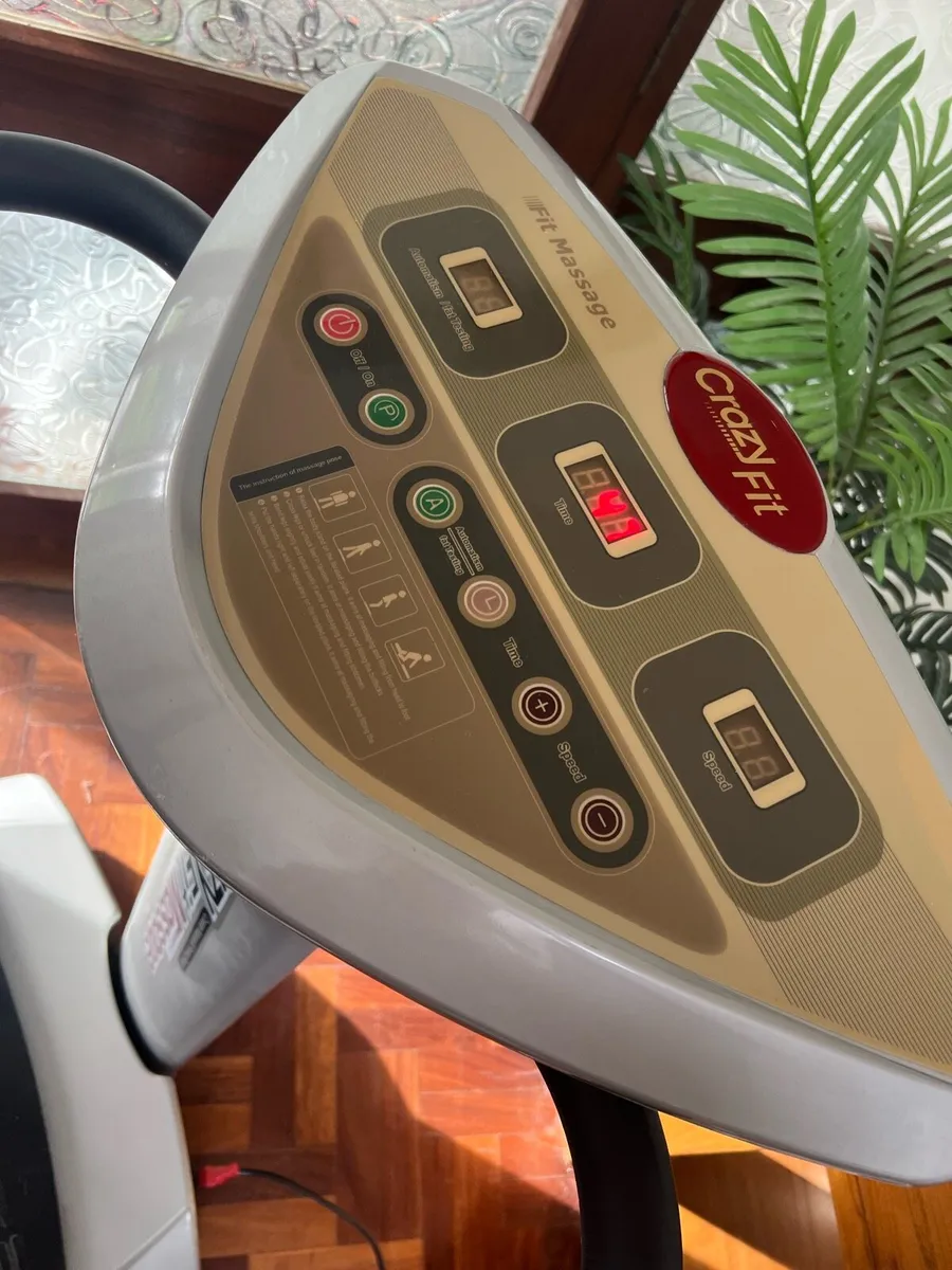 Vibration Plate machine- free to take away - Image 3