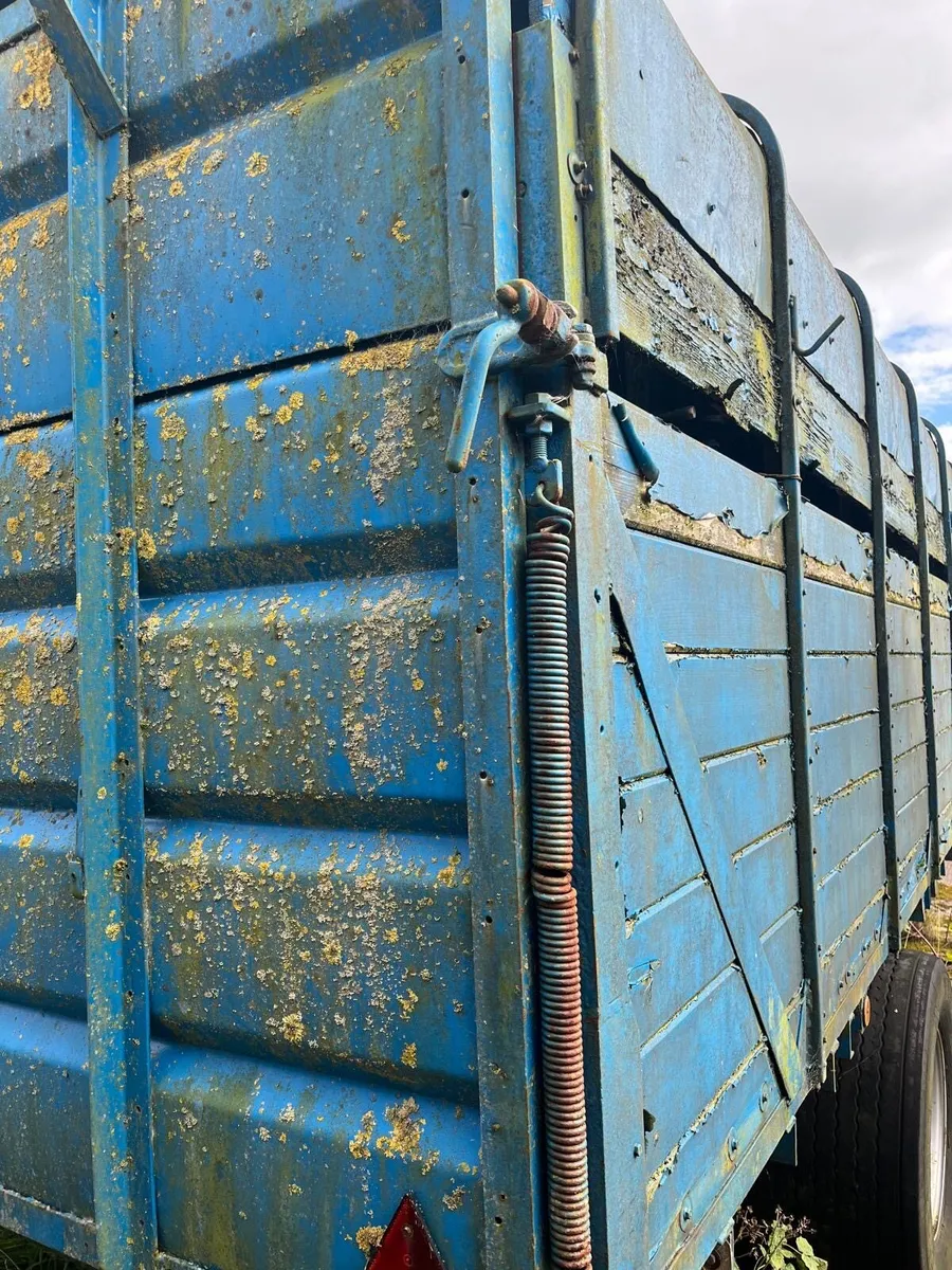 Large cattle trailer - Image 3