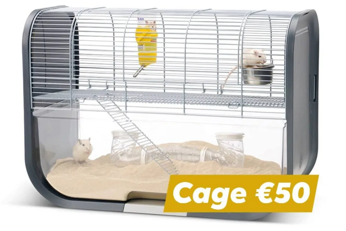 Cages - Image 4