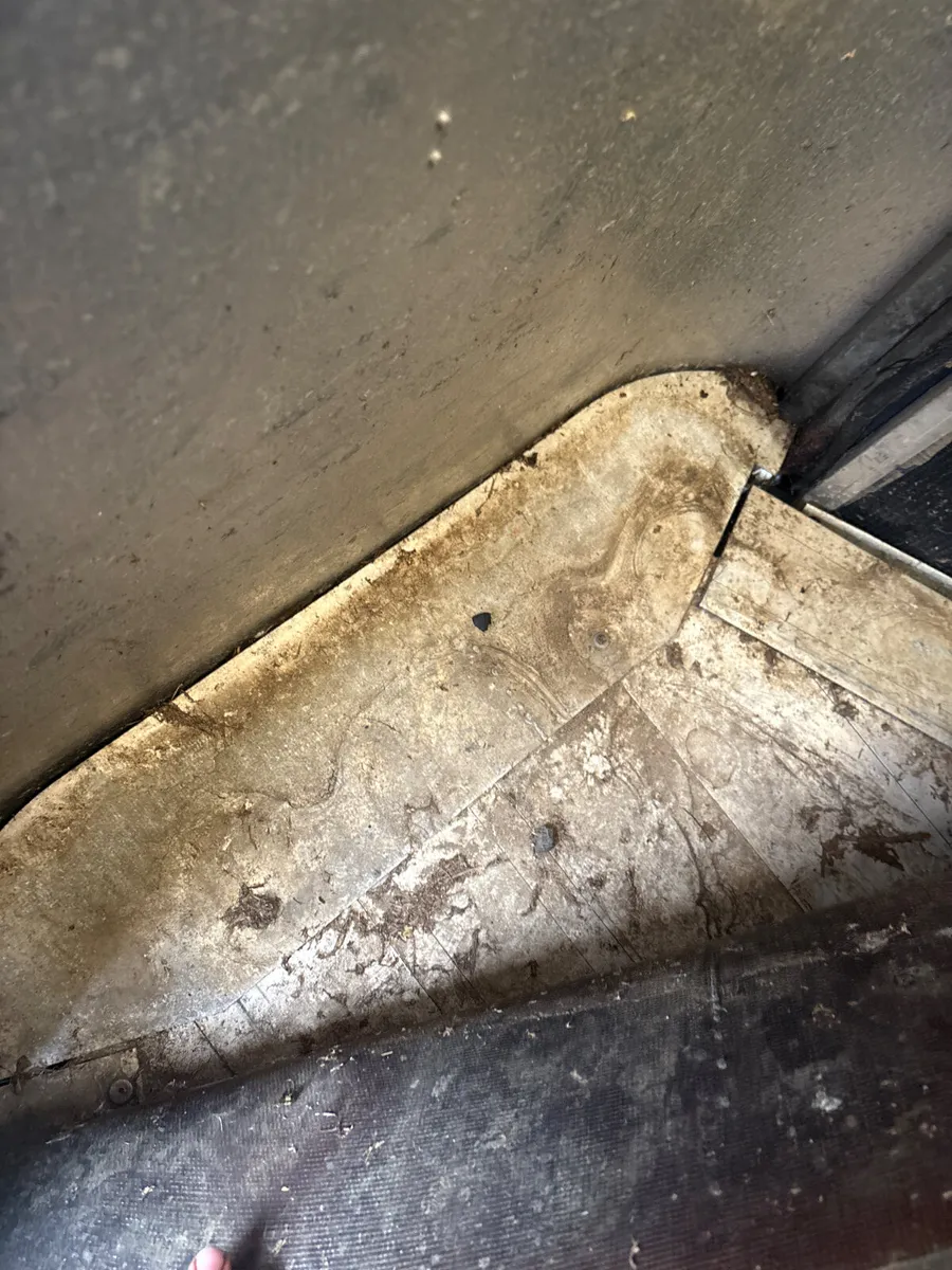 Ifor Williams 510 horse box - Image 4