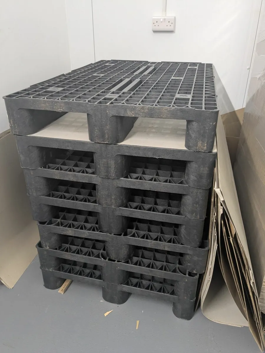Plastic pallets  Athetnry - Image 3