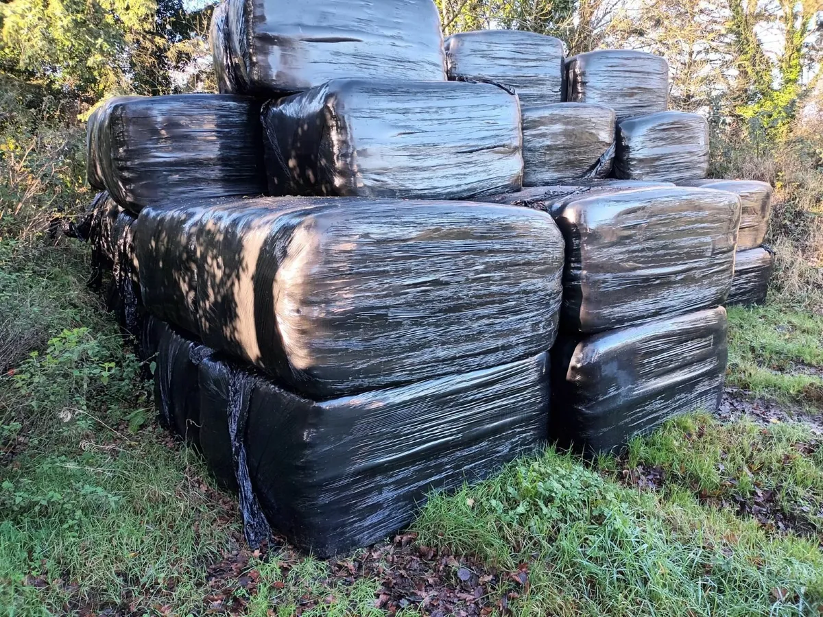 Wrapped Silage Bales - Image 1