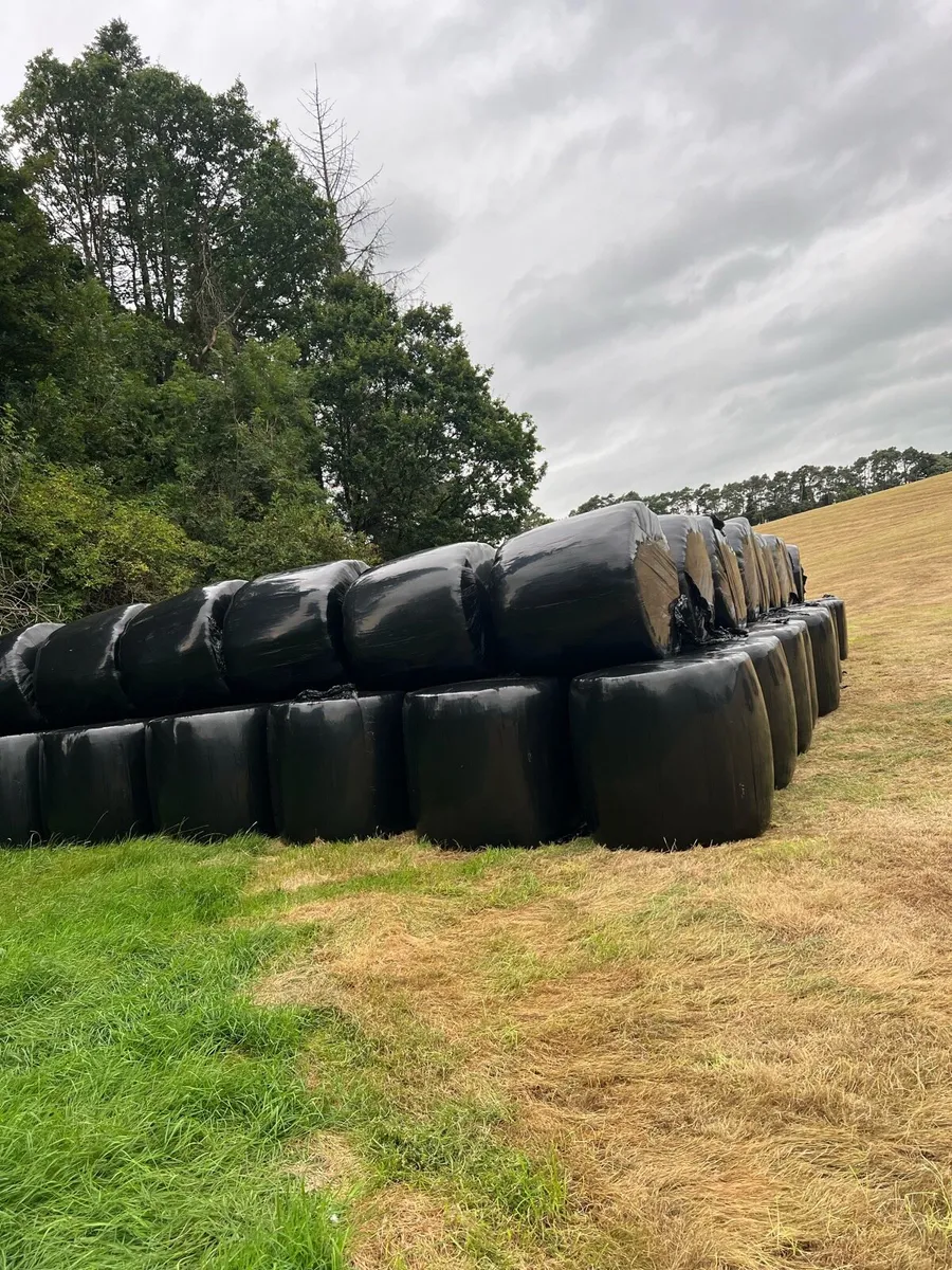 Silage bales