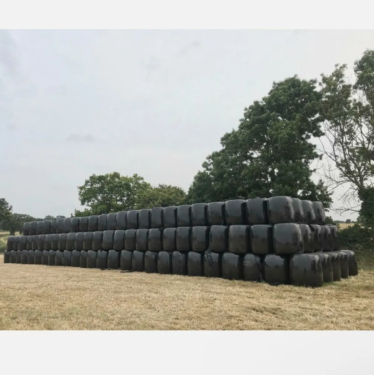 Silage bales