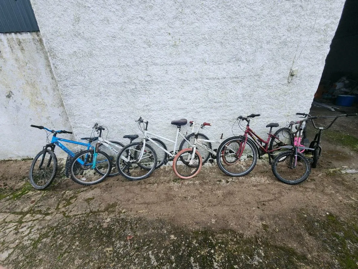 7 bikes - Image 1