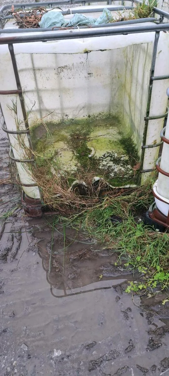 3 IBc calf huts3 - Image 3