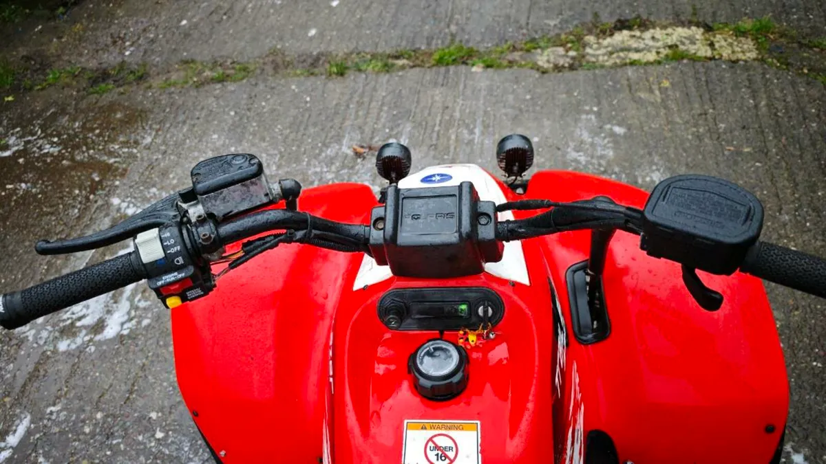 Polaris trail blazer 330 2008 - Image 4