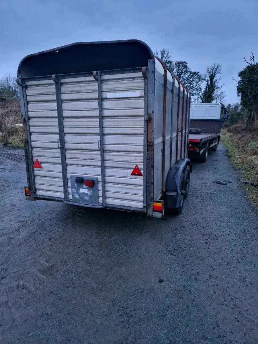 Cattle trailer - Image 3