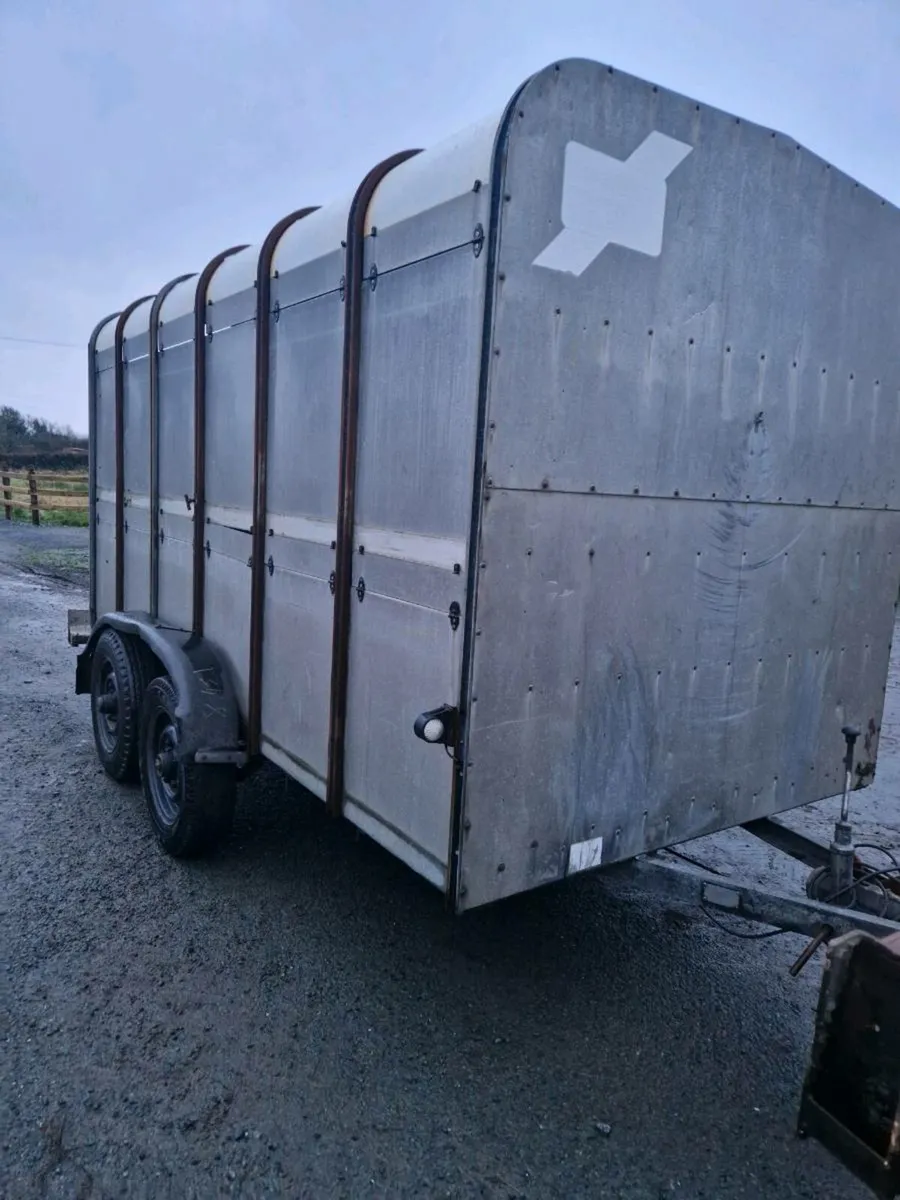 Cattle trailer - Image 4