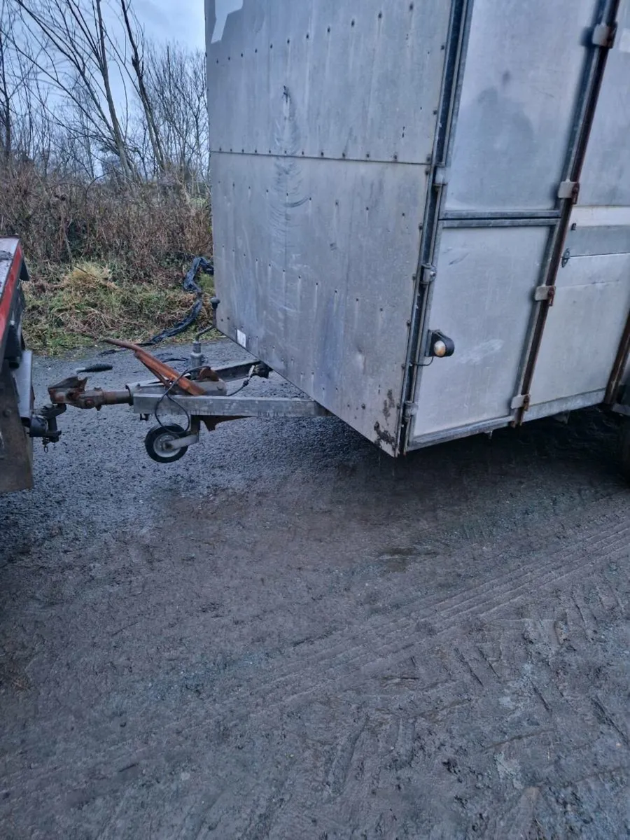 Cattle trailer - Image 2